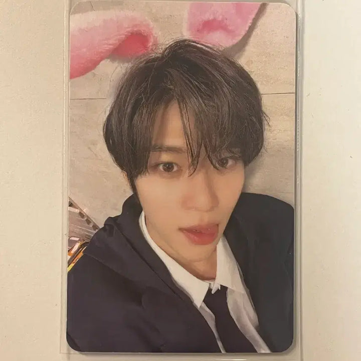 [BUNJANG] NCT Zion Lucky Draw POB Photocard (Bunny Selfie) / (이번주까지 이가격!) 스테디 시온 애플뮤직 미공포 특전 럭드 동물 동물셀카 토끼 엔시티 위시 엔시티위시 오시온