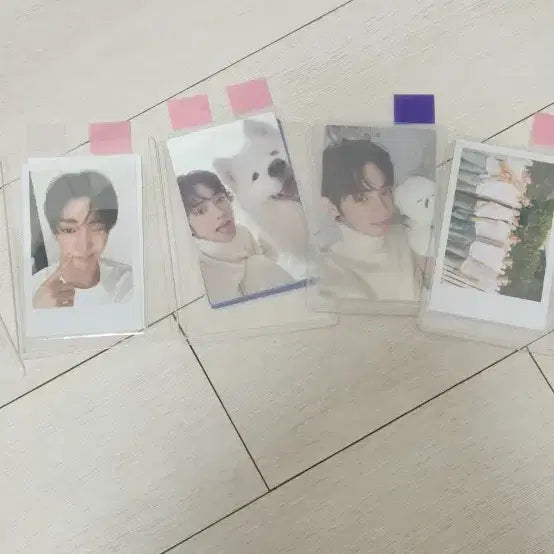 [BUNJANG] GOT7 Youngjae Bundle Set Photocard / 한진 영재 포토카드 일괄