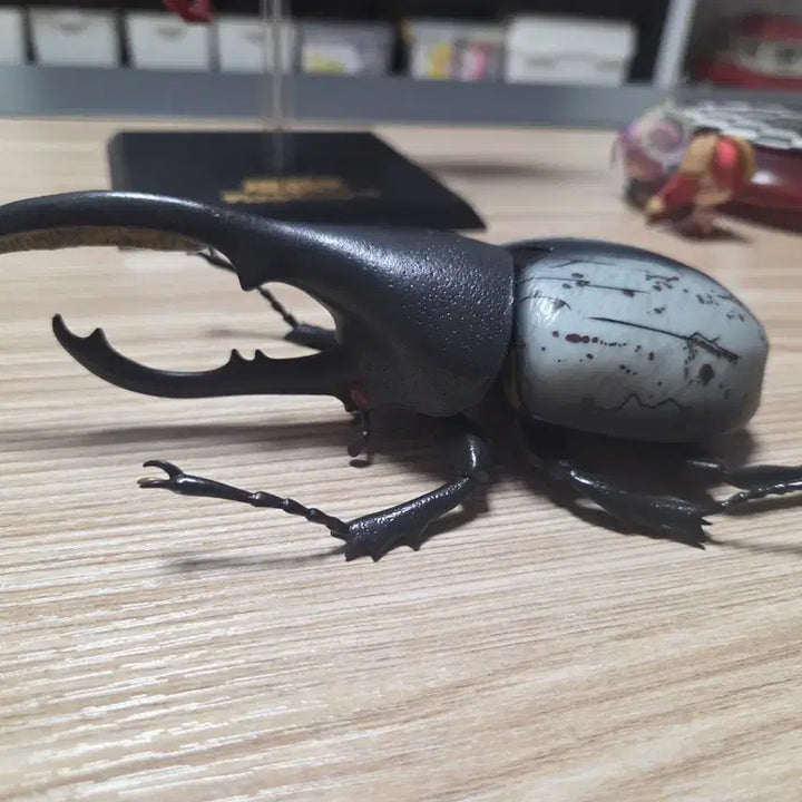 [BUNJANG] Ichiban Kuji Hercules Beetle Last One Prize / 곤충 제일복권 헤라클레스 장수풍뎅이 라스트원 적목, 리키