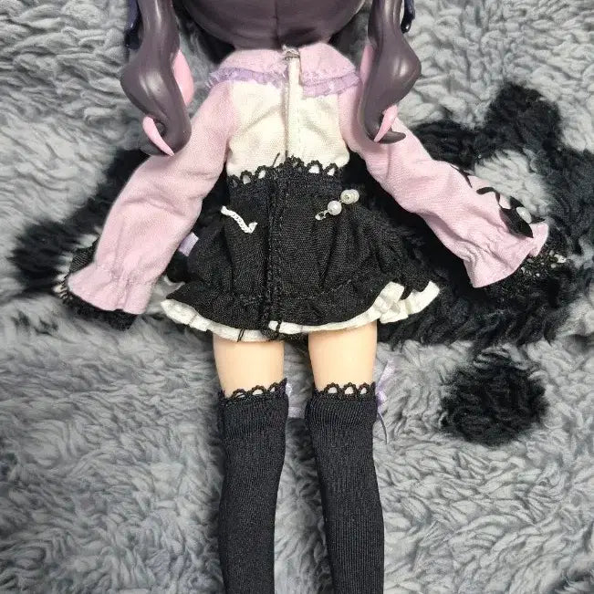 [BUNJANG] Blind Doll (BJD) "Free Claim" Pet Cat Doll / 블라인드돌(bjd) 자유주장 애완동물 고양이