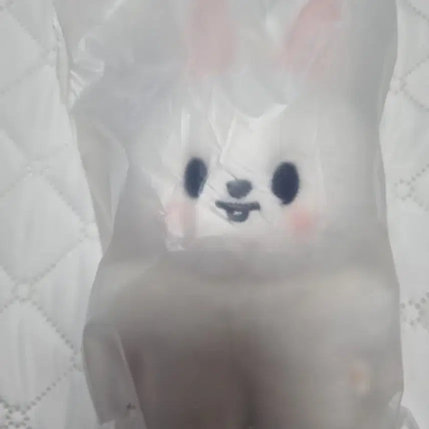 [BUNJANG] Stray Kids Lee Know Ribbit Standing Doll / 스트레이키즈 스키즈 리노 스탠딩 리빗