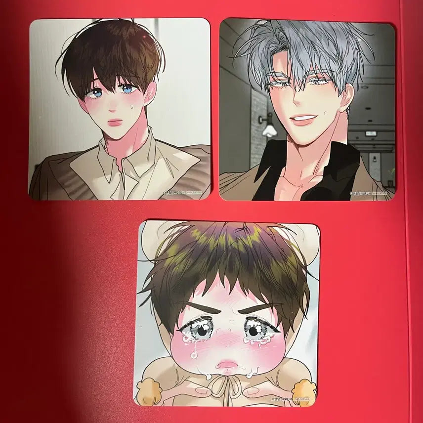 [BUNJANG] Mofun Peppermint Candy Coaster Set / 모펀 박하사탕 코스터