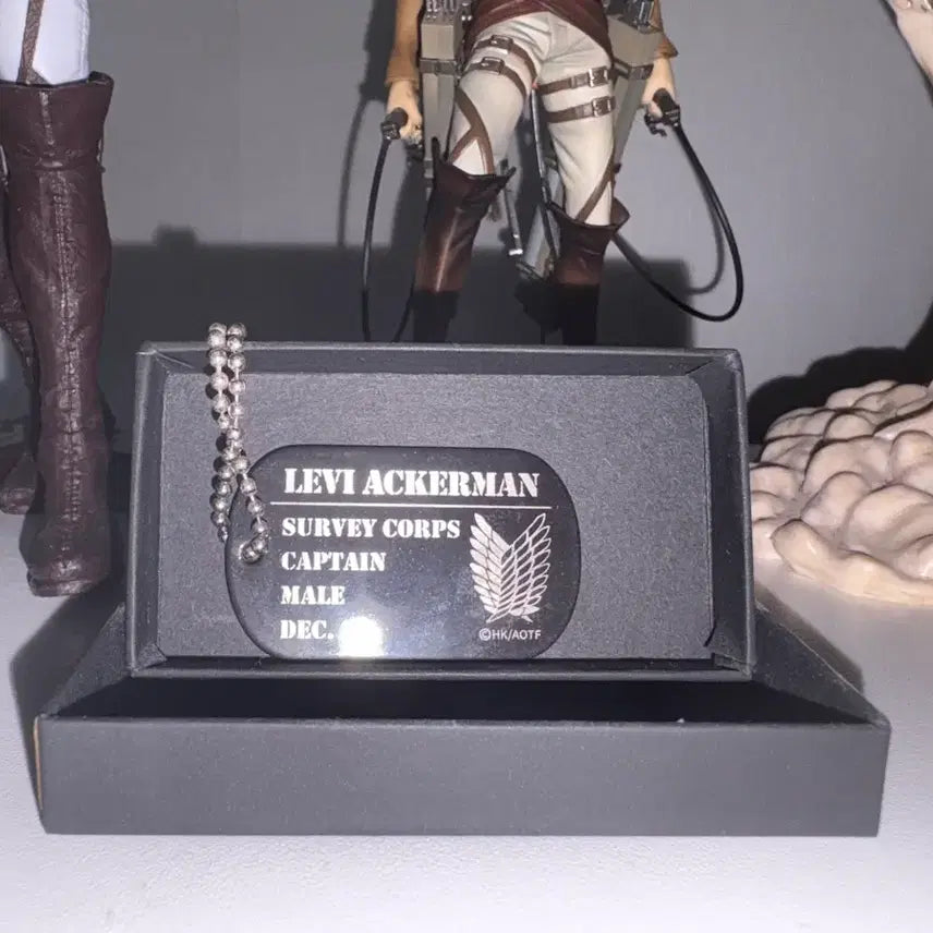 [BUNJANG] Attack on Titan Levi Dog Tag / 리바이 군번줄(희귀굿즈)