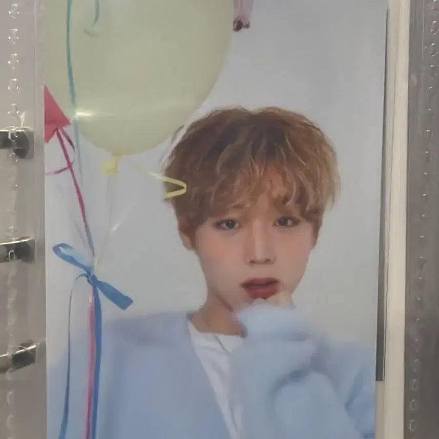 [BUNJANG] Park Jihoon Birthday Boy Birthday Cafe Photo Package Photocard / 박지훈 Birthday Boy BIRTHDAY CAFE 포토 패키지