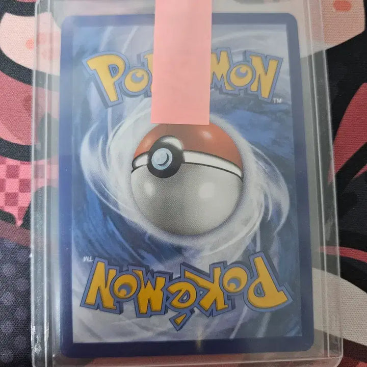 [BUNJANG] Pokémon Card Mamoswine Promo / 포켓몬카드 모야모 프로모