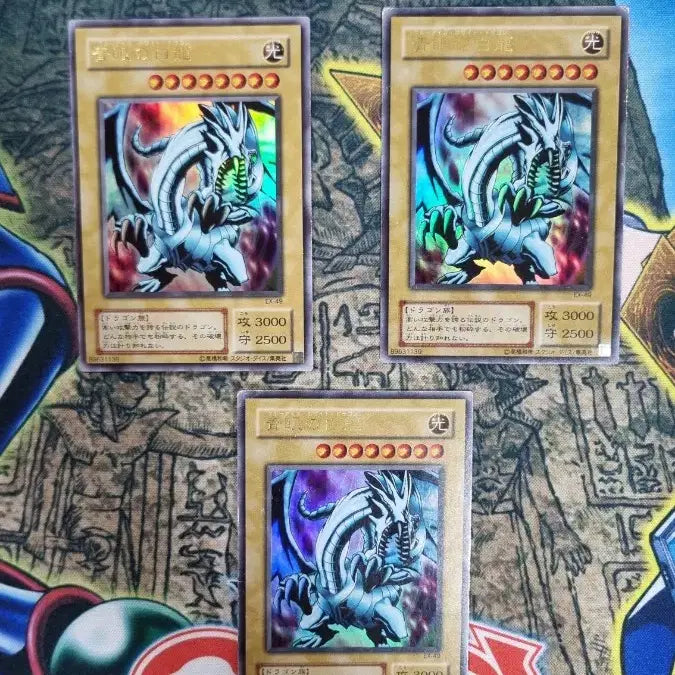 [BUNJANG] Yu-Gi-Oh! Blue-Eyes White Dragon Early EX-49 Ultra Rare - 3 Cards / 유희왕 푸른눈의백룡 초기 EX-49 울트라레어 3장