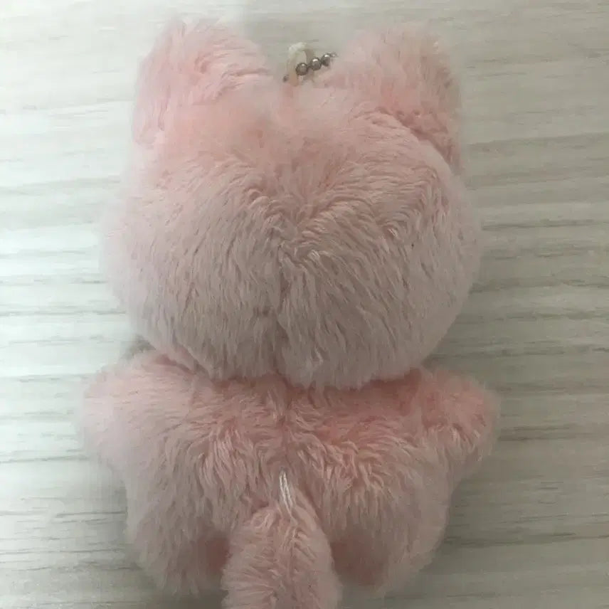 [BUNJANG] Cat Photocard / 잰냥이 양도