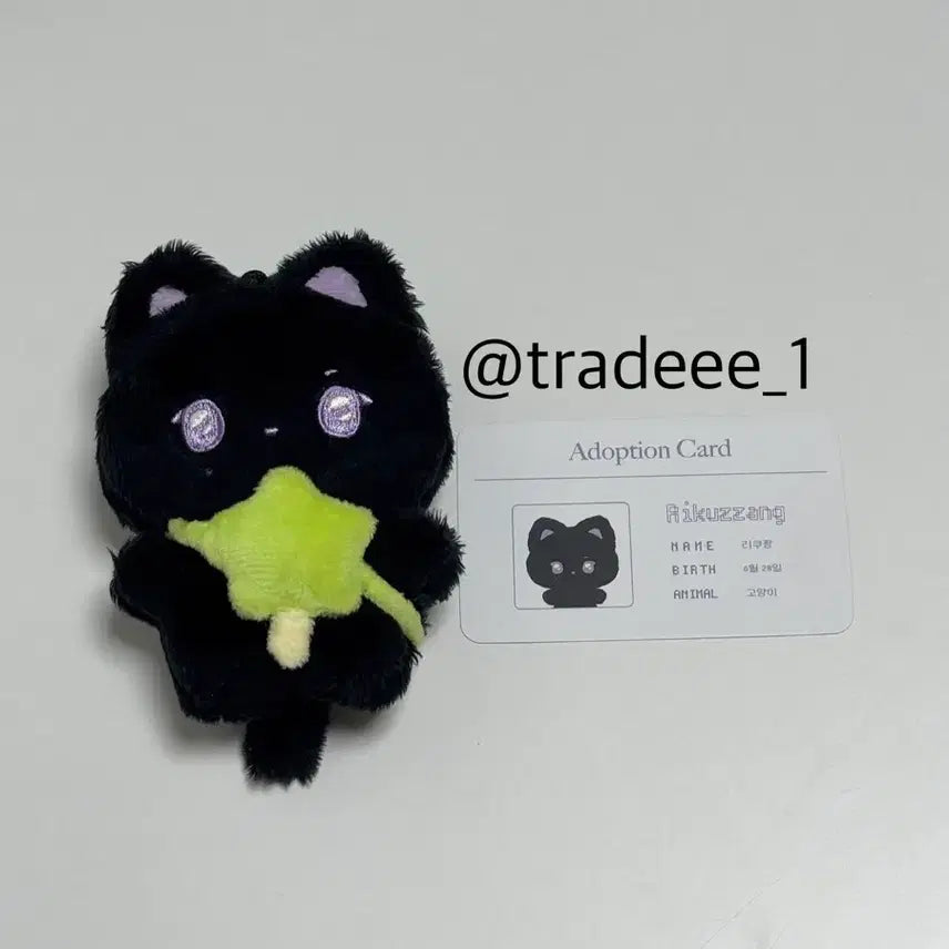 [BUNJANG] NCT WISH Riku Winimals Plush + Wish Star Bag / 위니멀즈 리쿠짱 + 위시스타 가방