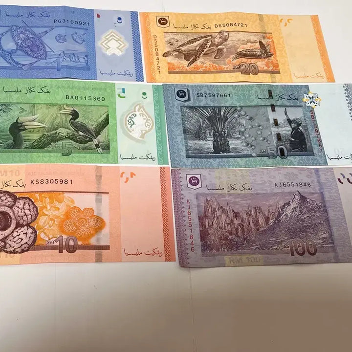 [BUNJANG] Malaysia Ringgit Currency Set (6 Notes) / 말레이시아 링깃 화폐 세트 6장