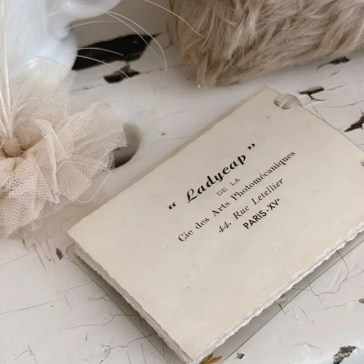 [BUNJANG] French Antique Photo Album / 프랑스엔틱 사진첩