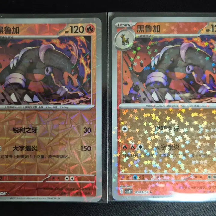 [BUNJANG] Chinese Edition Pokemon Card Houndoom 2 Types / 중국판 포켓몬 카드 헬가 2종