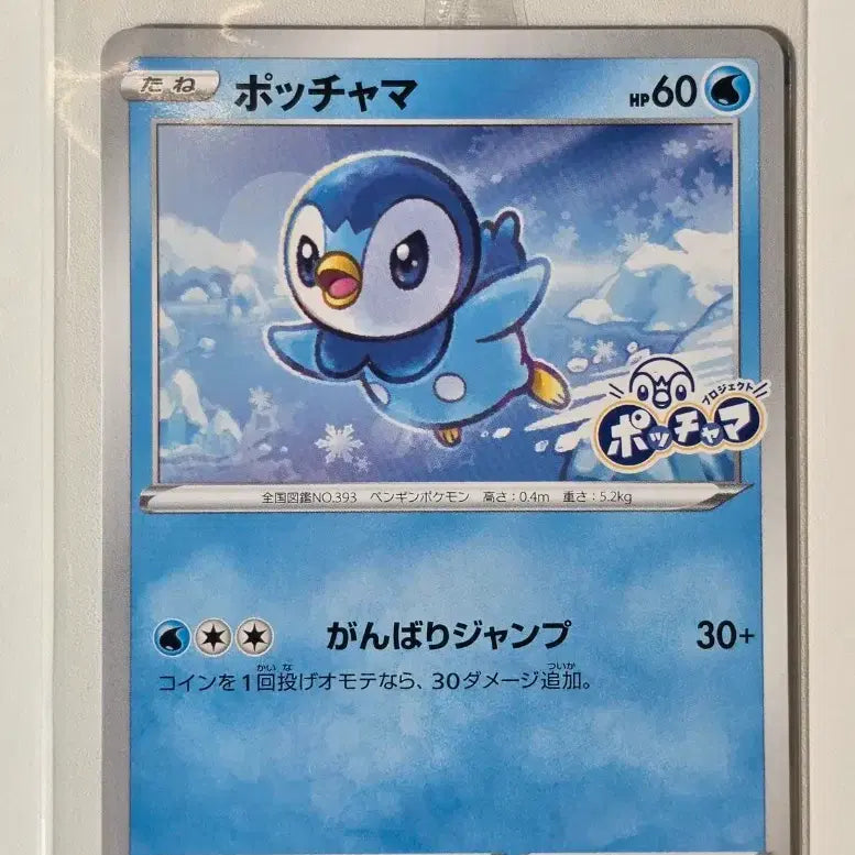 [BUNJANG] Pokemon Card Japanese Distribution Piplup Promo Sealed / 미개봉)포켓몬카드 일판 팽도리 프로모 미개봉