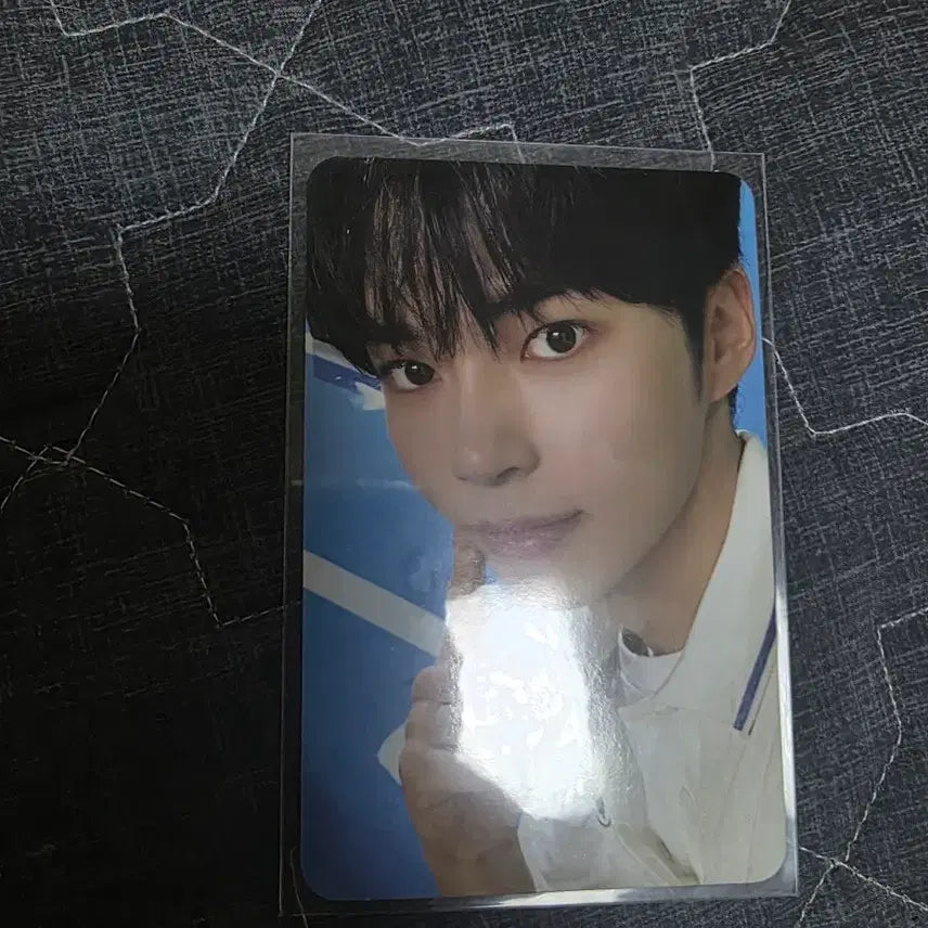 [BUNJANG] ZB1 Sung Hanbin Photocard / 제베원 성한빈 포카 양도