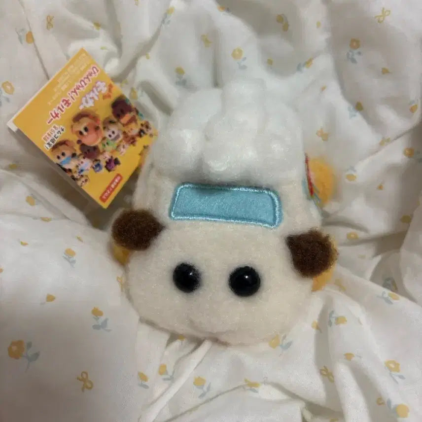 [BUNJANG] Morooka Potato Avi Bundle Set / 모루카 포테토 아비 일괄