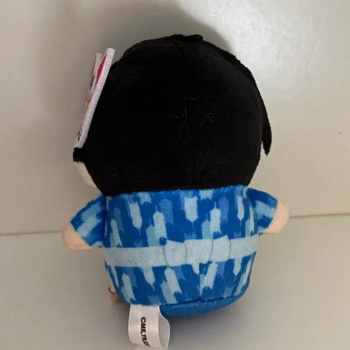 [BUNJANG] Itoshi Rin Plush Doll / 이토시 린 누이 인형