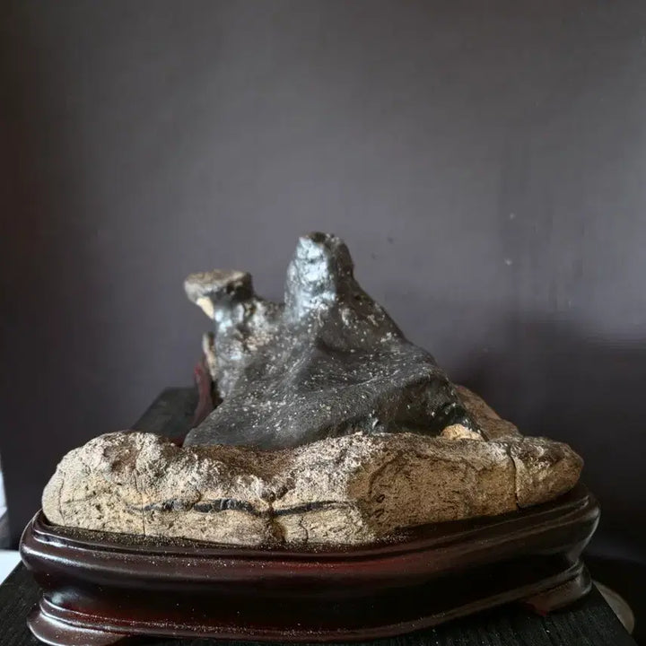 [BUNJANG] Hegong Flat Stone (Natural Stone) / 수석 (평원석)
