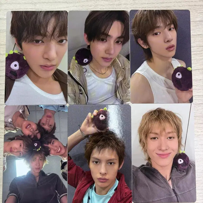 [BUNJANG] Cortisbol Asai Bundle Set Photocard / 코르티스볼 아사이 포카세트