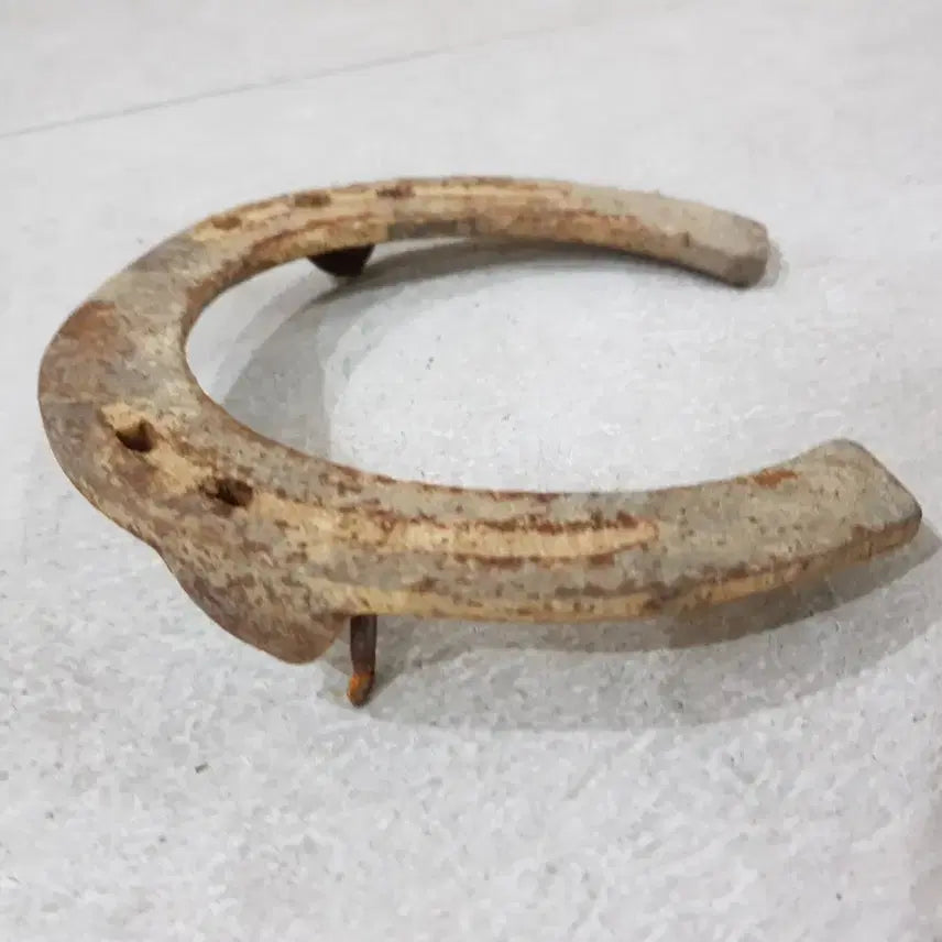 [BUNJANG] Used Horse Shoes / 말편자