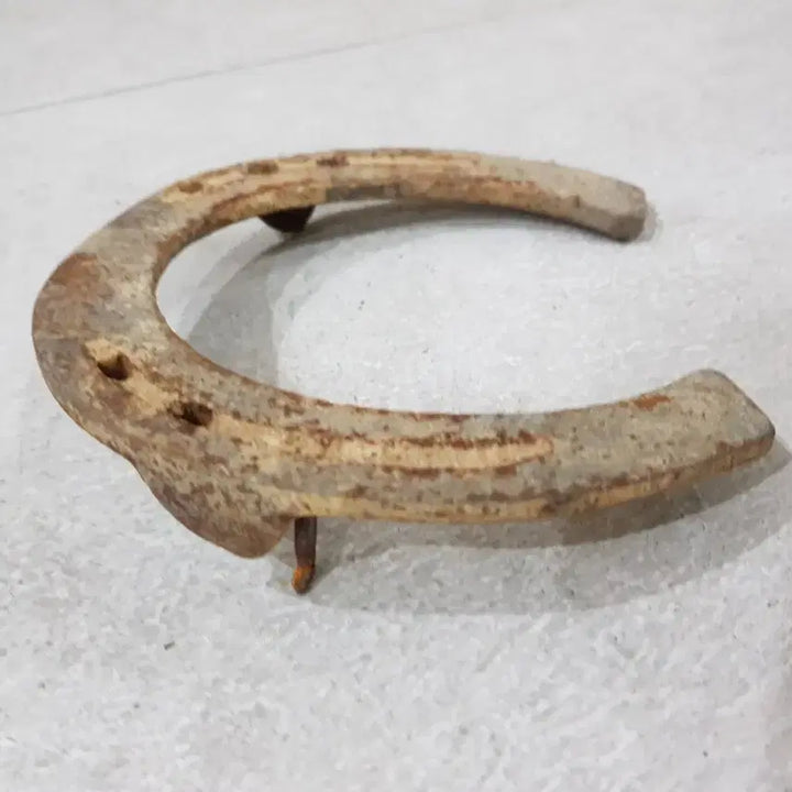 [BUNJANG] Used Horse Shoes / 말편자