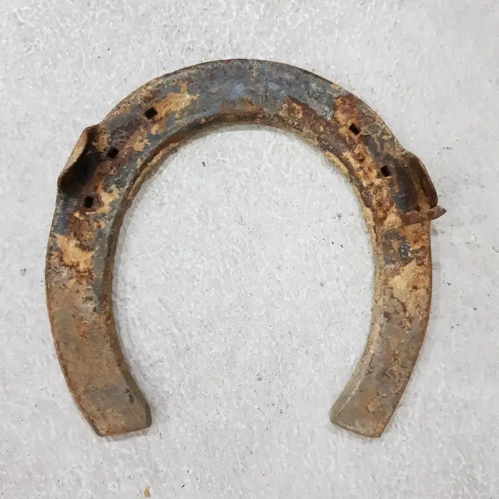 [BUNJANG] Used Horse Shoes / 말편자