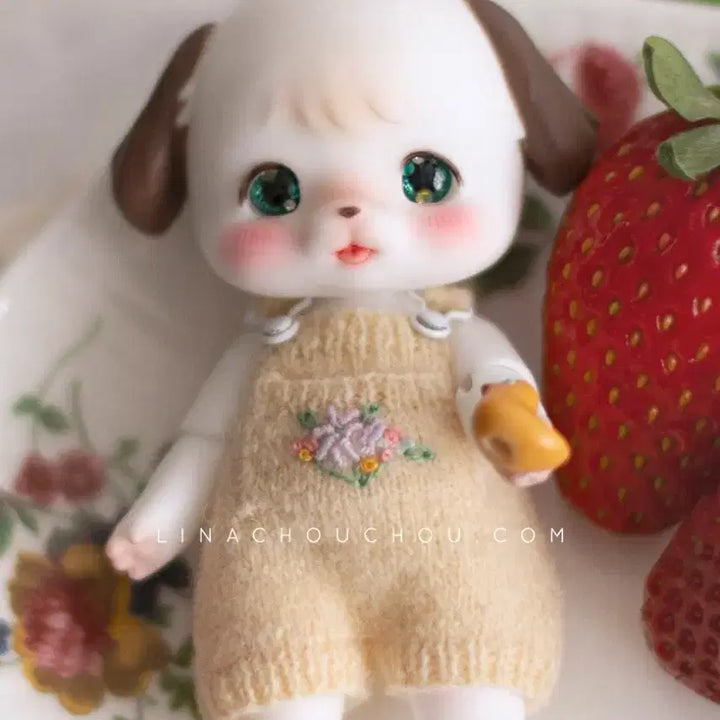 [BUNJANG] LinaShoSho Ball Jointed Doll Set / 리나슈슈 구관 축생 뽀송