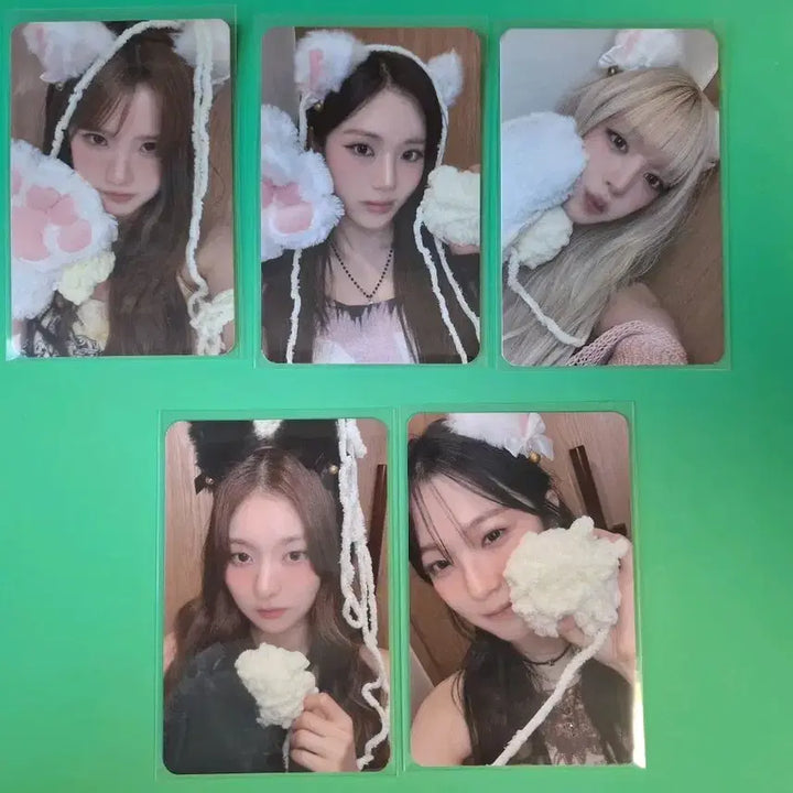 [BUNJANG] fromis_9 Cat Photocard / 프로미스나인 고양이 포토카트