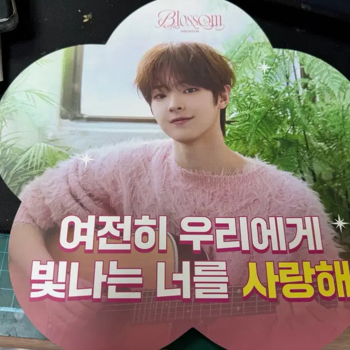 [BUNJANG] Flareup Kang Woojin Apple Music POB Photocard Bundle Set / 플레어유 강우진 애플뮤직 미공포,팬미 포카 일괄 양도