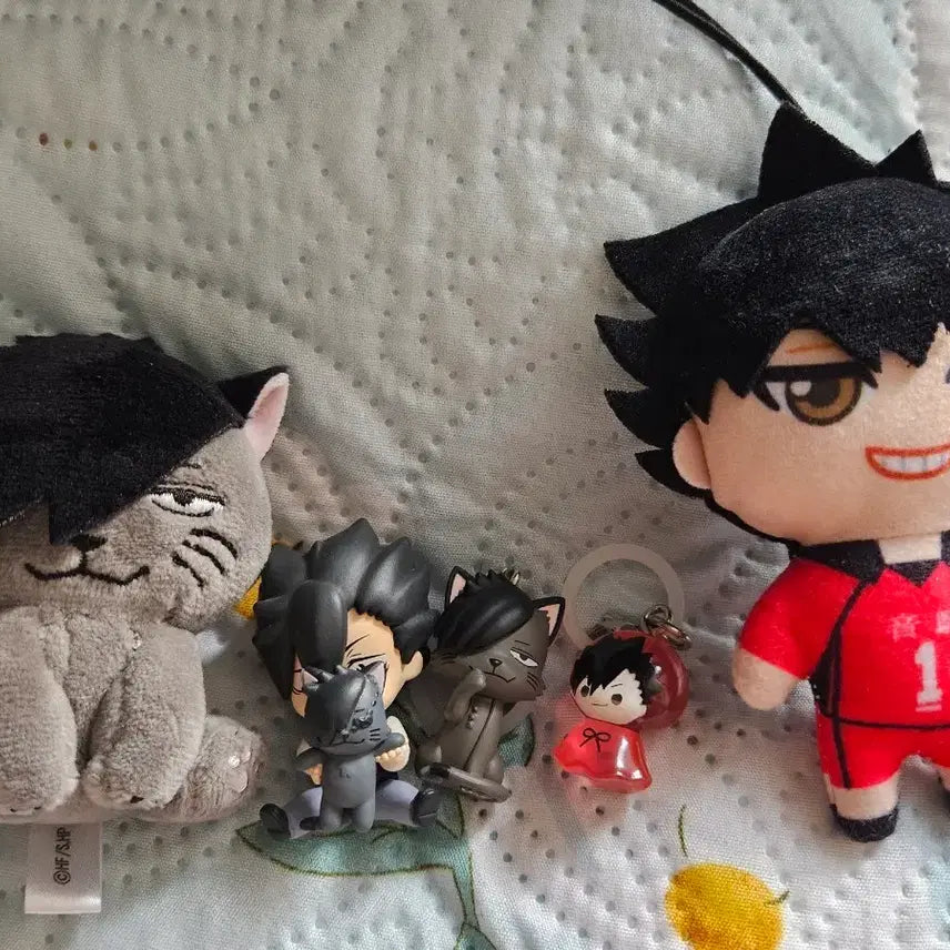 [BUNJANG] Haikyuu!! Tetsuro Kuroo Doll &amp; Megurushi Gacha Bundle Set / 하이큐 쿠로오 테츠로 인형 메지루시 가챠등 5종일괄