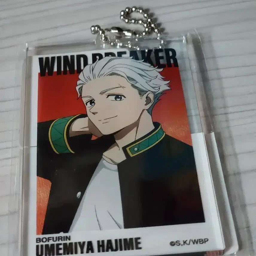 [BUNJANG] WIND BREAKER Umemiyajima Hajime Acrylic Keychain / WIND BREAKER 윈브레 윈드 브레이커 우메미야 하지메 아크릴 키링