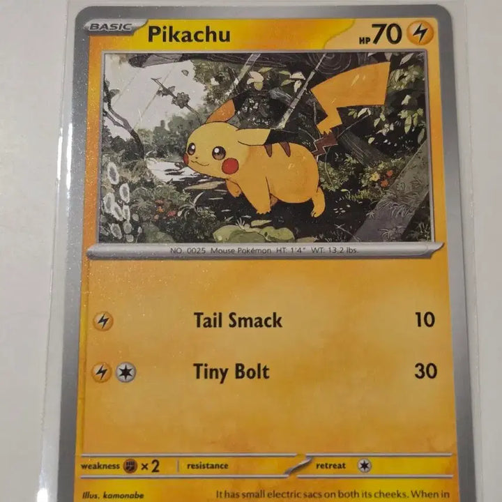 [BUNJANG] Pikachu ASC 055/217 English Edition 2026 - Near Mint Condition / [북미판] 2026년 피카츄 (Pikachu) ASC 055/217 영문 정품 판매
