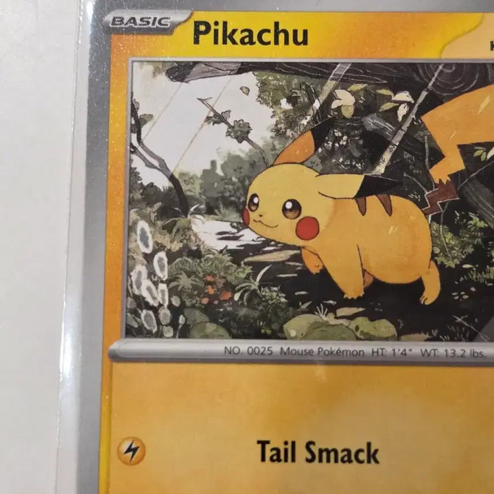 [BUNJANG] Pikachu ASC 055/217 English Edition 2026 - Near Mint Condition / [북미판] 2026년 피카츄 (Pikachu) ASC 055/217 영문 정품 판매