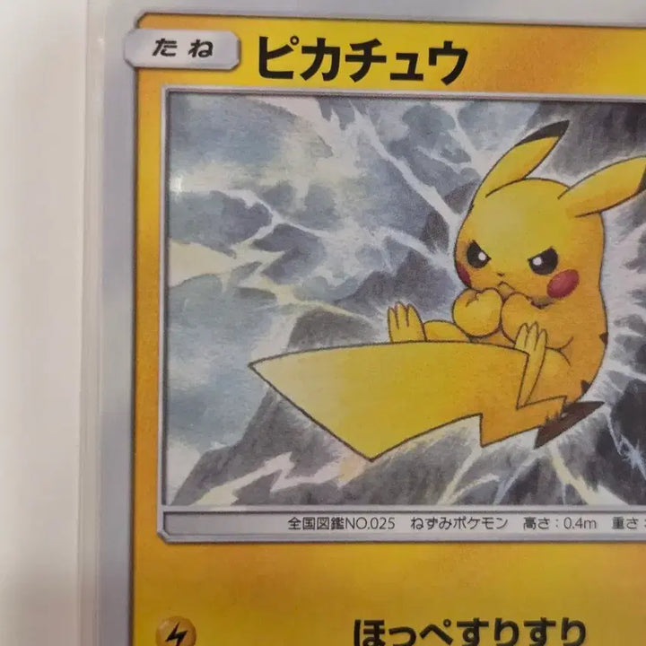 [BUNJANG] Pikachu 016/049 C Dream League SM11b Japanese Pokemon Card / [일판] 2019년 피카츄 (Pikachu) 번개츄 SM11b 016/049 C 정품 판매