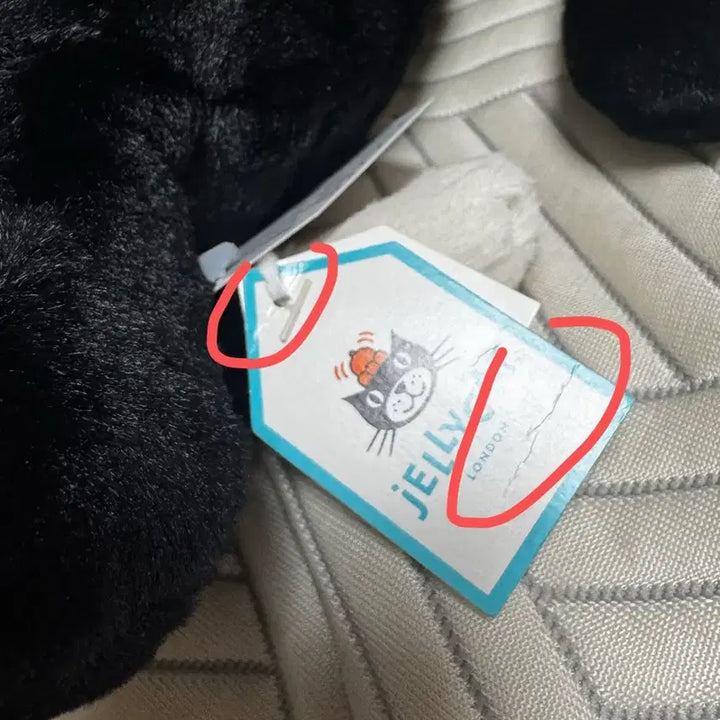 [BUNJANG] Jellycat Bashful Black Kitten Plush / jellycat 바쉬풀 블랙 키튼 젤리캣 정품