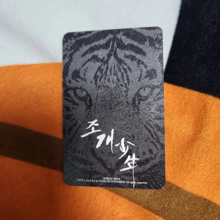 [BUNJANG] Joongie "Black Cat Power" Seagull Boy Clear File Two-Sik Photocard (Unsealed) / 흑묘력 조개소년 클리어파일 두식 포토카드 개봉