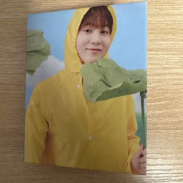 [BUNJANG] SEVENTEEN Seventeenth Heaven Carat Ver. Seungkwan Photocard Binder Bundle Set / 세븐틴 seventeenth heaven 캐럿반 승관 포카 바인더 일괄