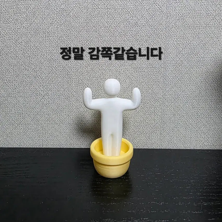 [BUNJANG] Mecha Chameleon 5-Piece Set / 메챠 카멜레온 5종 일괄