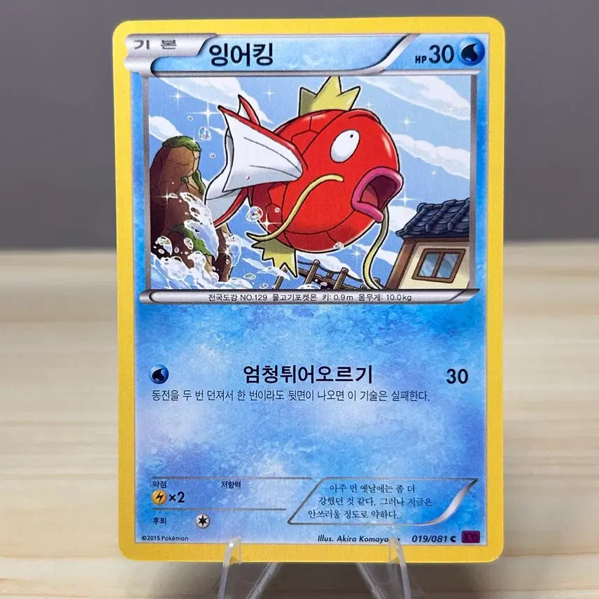 [BUNJANG] Magikarp XY7 019/081 C Common Trading Card / [고대 포켓몬카드] 잉어킹 XY7 019/081 C