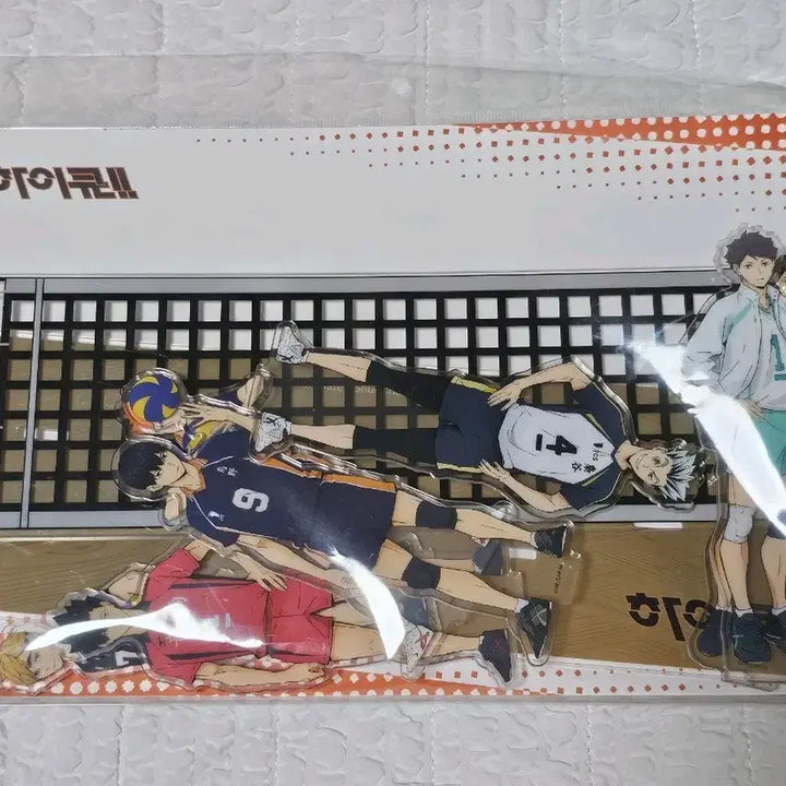 [BUNJANG] Haikyuu!! All-Star Diorama Acrylic Stand / 하이큐 올스타 디오라마 아크릴 스탠드 더현대 팝업