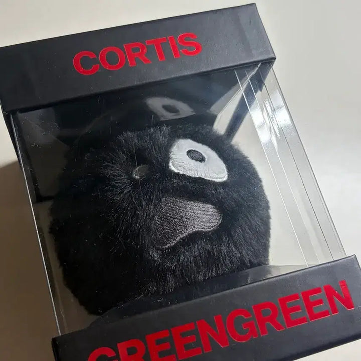 [BUNJANG] CORTIS CORTISBALL TNT Ver. Photocard / 코르티스 코르티스볼 TNT Ver.