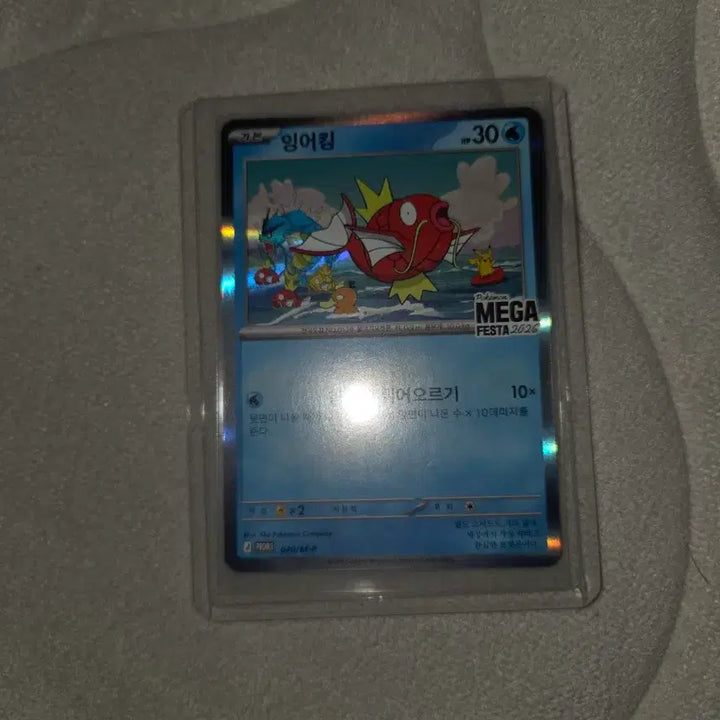 [BUNJANG] Gyarados Pokemon Card Set (Hiroshima Box) / 잉어킹 포켓몬카드 세트(네고 가능)