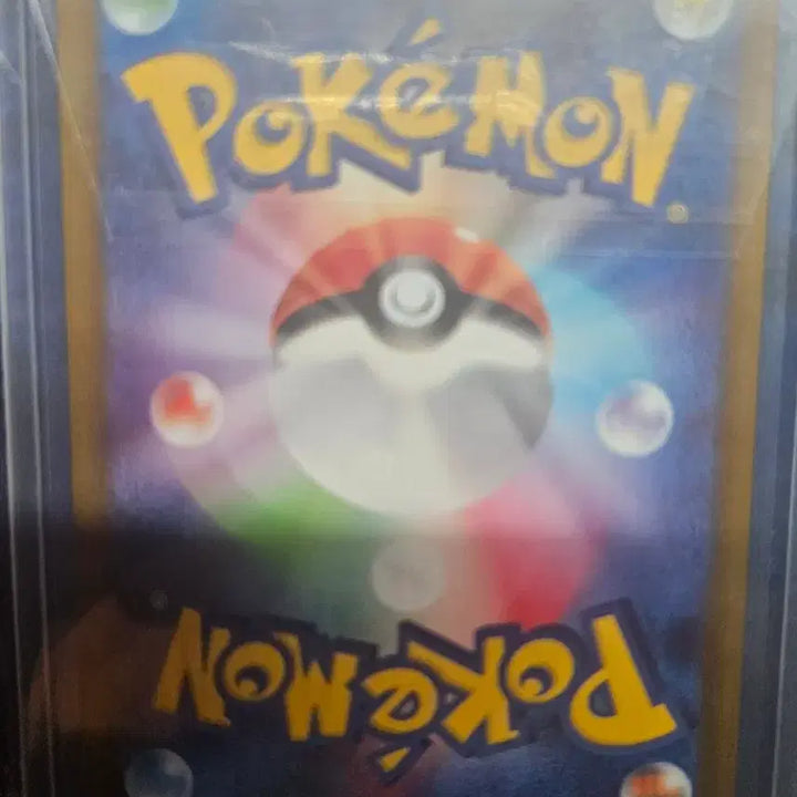 [BUNJANG] Pokemon Card Fujian UR Japanese Version / 포켓몬카드 파오젠 UR 일판
