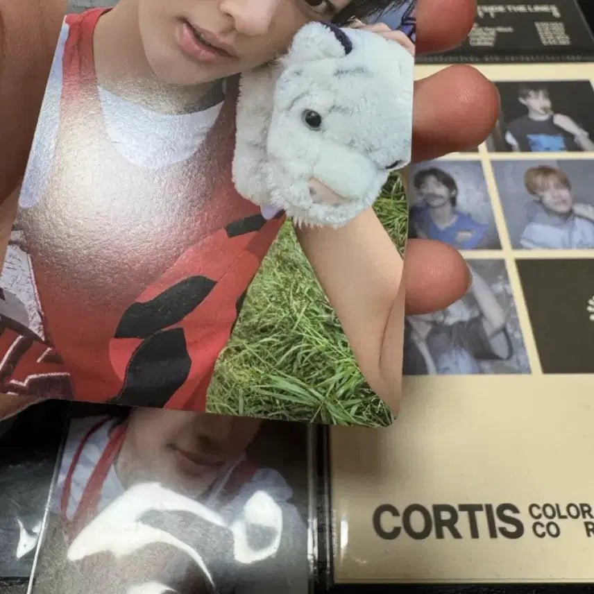 [BUNJANG] KORTIS Gunho Martin Photocard Set / 코르티스 건호 마틴 포카 세트