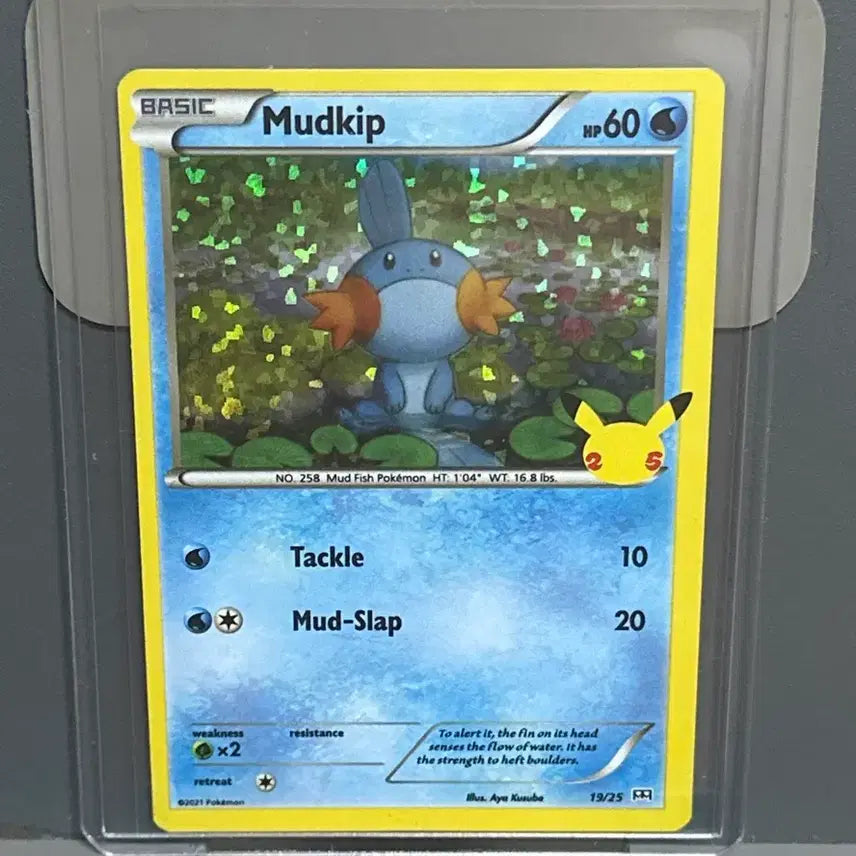 [BUNJANG] Pokemon Card 25th Anniversary Mudkip Holo / [북미] 포켓몬카드 물짱이 홀로 25주년 카드 판매