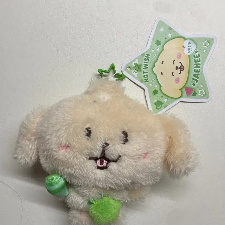 [BUNJANG] Daengtree Daeng Wish Doll / 댕트리버 댕트 위시돌