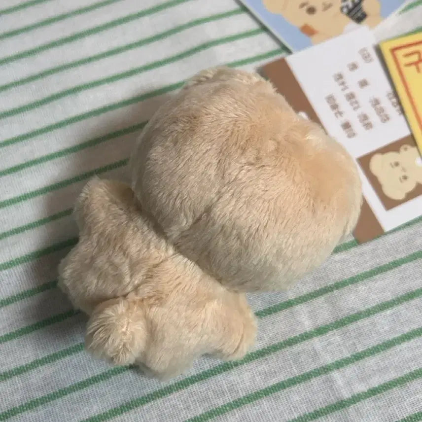 [BUNJANG] Koo Kyo-hwan Actor 10cm Plush Doll Gurumi Full Set / 구교환 인형 구루미 풀세트 양도 10cm 탈주 군체 DP