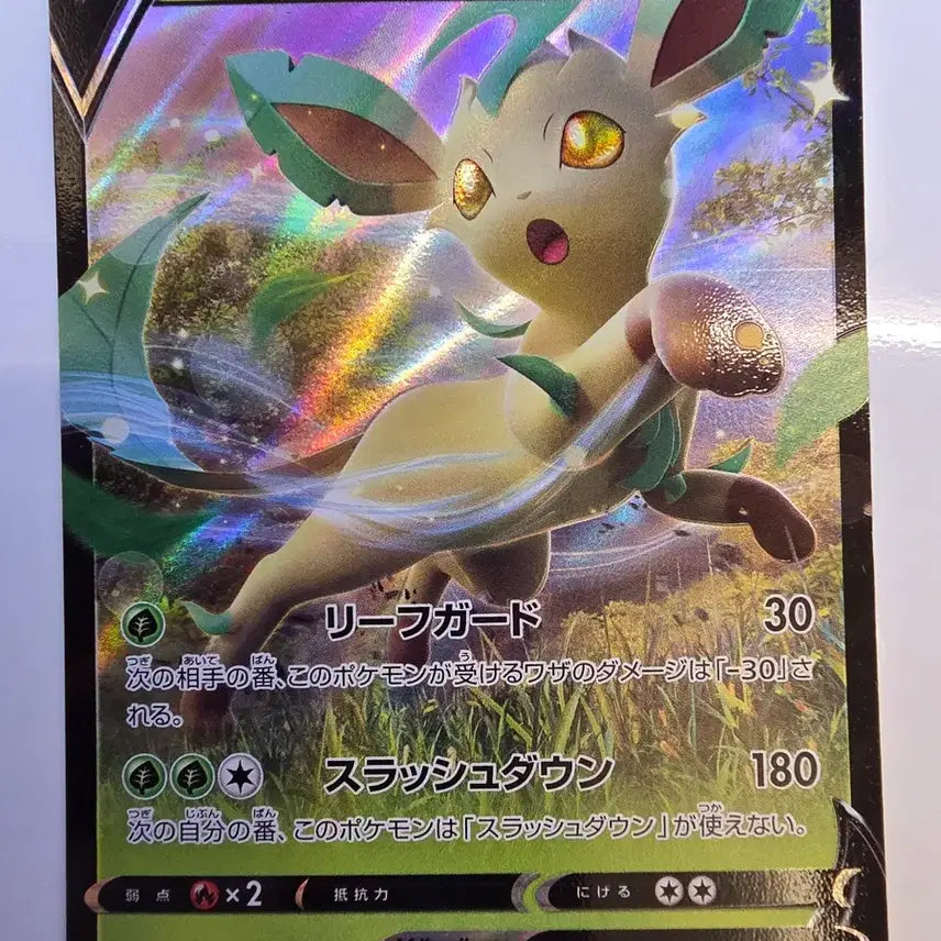 [BUNJANG] Pokemon Card Japanese Promo Leafeon V / 포켓몬카드 일판 프로모 리피아V