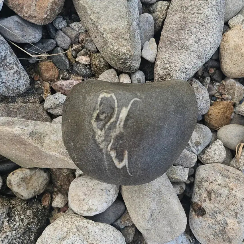 [BUNJANG] Natural Scholar Stone with Crane Motif / 수석 자연석 학 문양석 크기 20센치정도