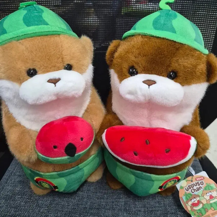 [BUNJANG] Daldal Watermelon &