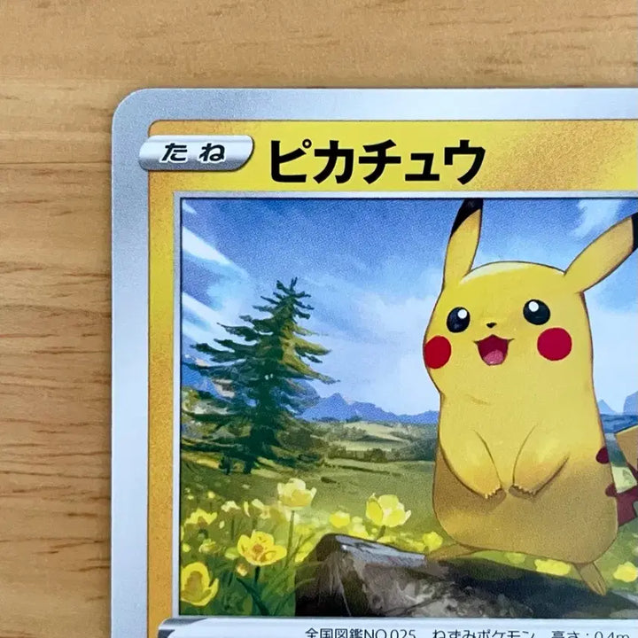 [BUNJANG] Pokemon Card Pikachu 026/069 Eevee Heroes / 일판 포켓몬카드 이브이히어로즈 피카츄 026/069