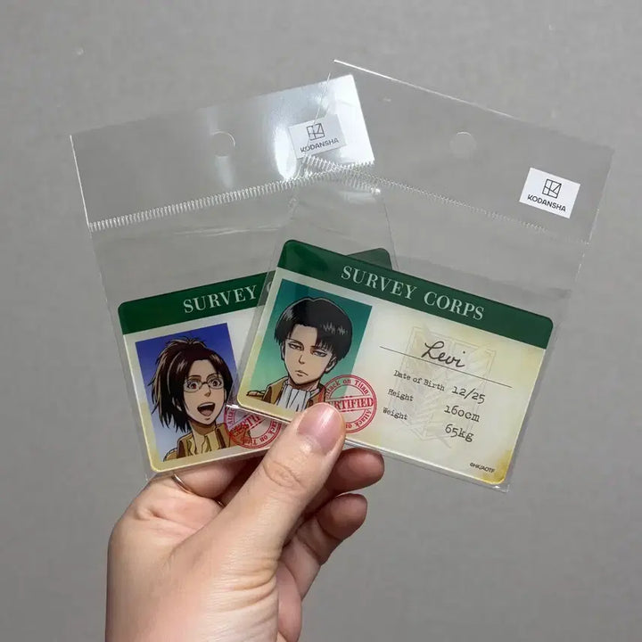 [BUNJANG] Attack on Titan Survey Corps Acrylic ID Card Set / 진격의 거인 조사병단 굿즈 아크릴 ID 카드 정품 새상품